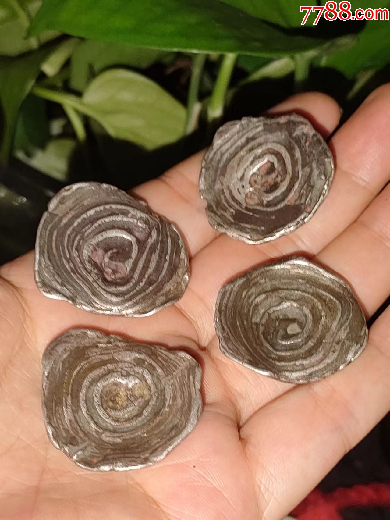 明清老银锭四个一起