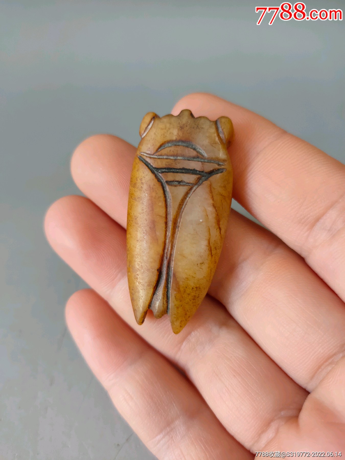 玉蝉,老玉蝉-价格:190元-se87670207-和田玉-零售-7788工艺品