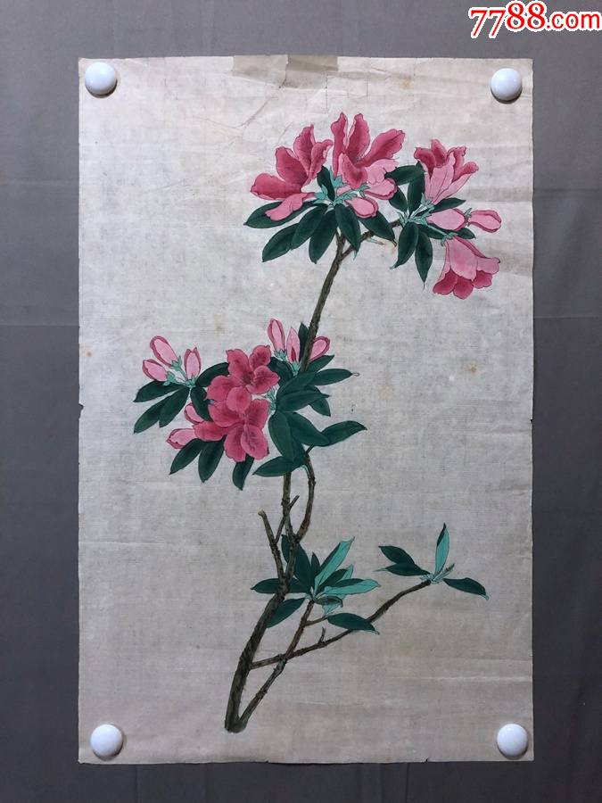 18625~【梁順如】無款工筆花鳥畫,茶花,尺寸約為66*42_花鳥國畫原作