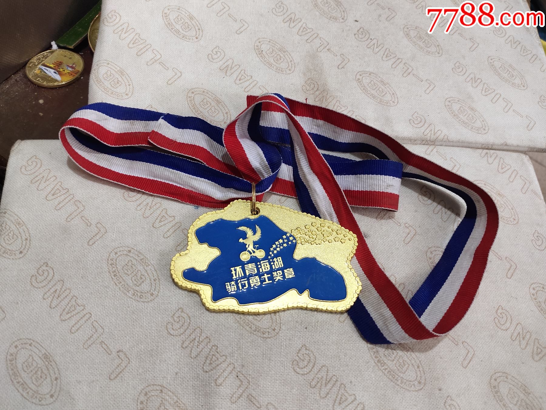 环青海湖骑行勇士奖章_体育运动徽章_第1张_7788老酒收藏