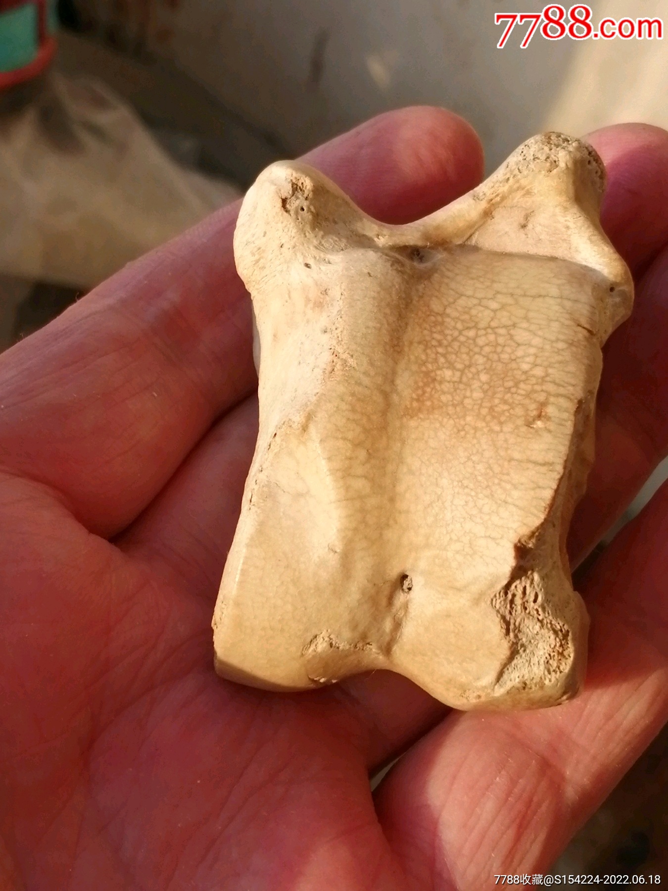 辽代大个头牛骨嘎拉哈-价格:150元-se87755084-骨制饰品-零售-7788