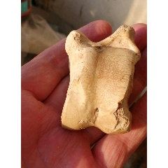 辽代大个头牛骨嘎拉哈(se87755084)_7788商城__七七八八商品交易平台