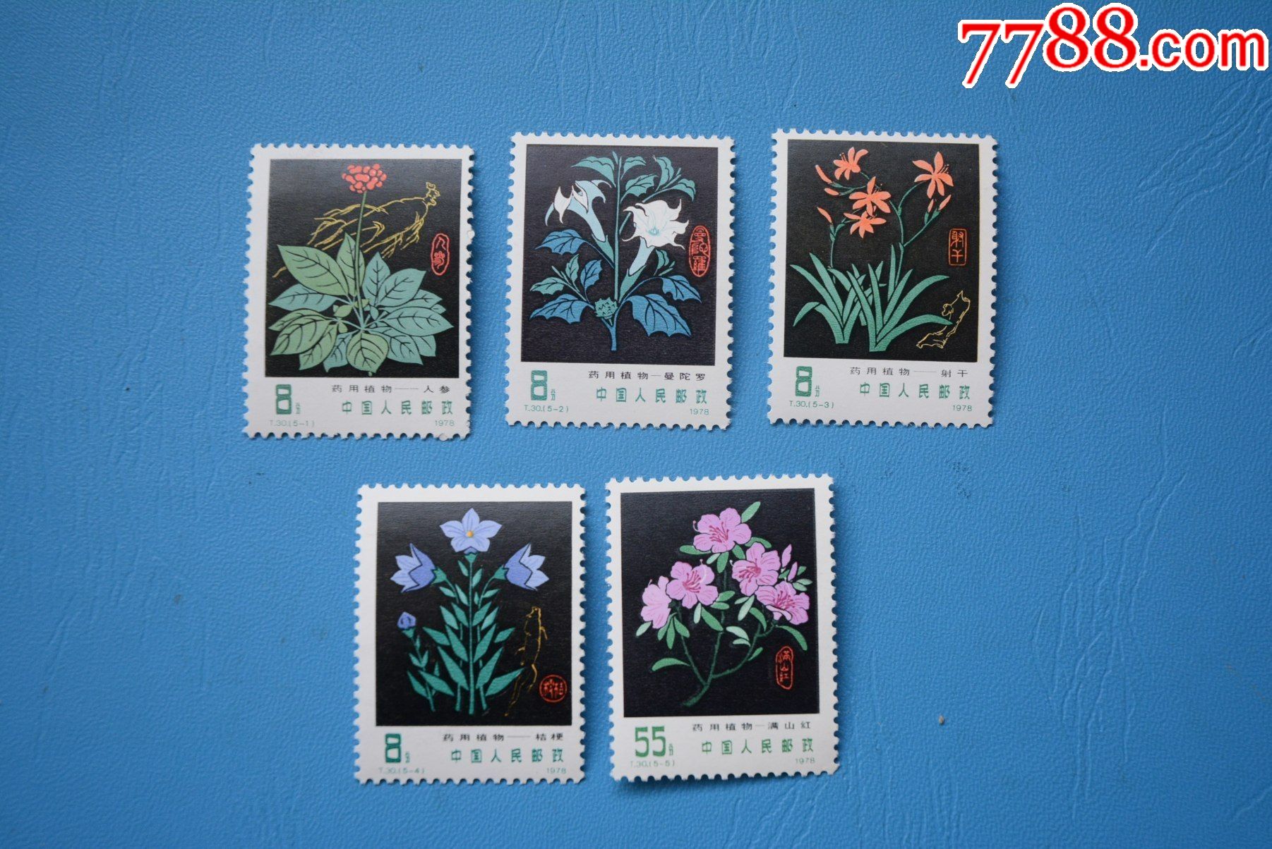 t30药用植物上品新票邮票套票