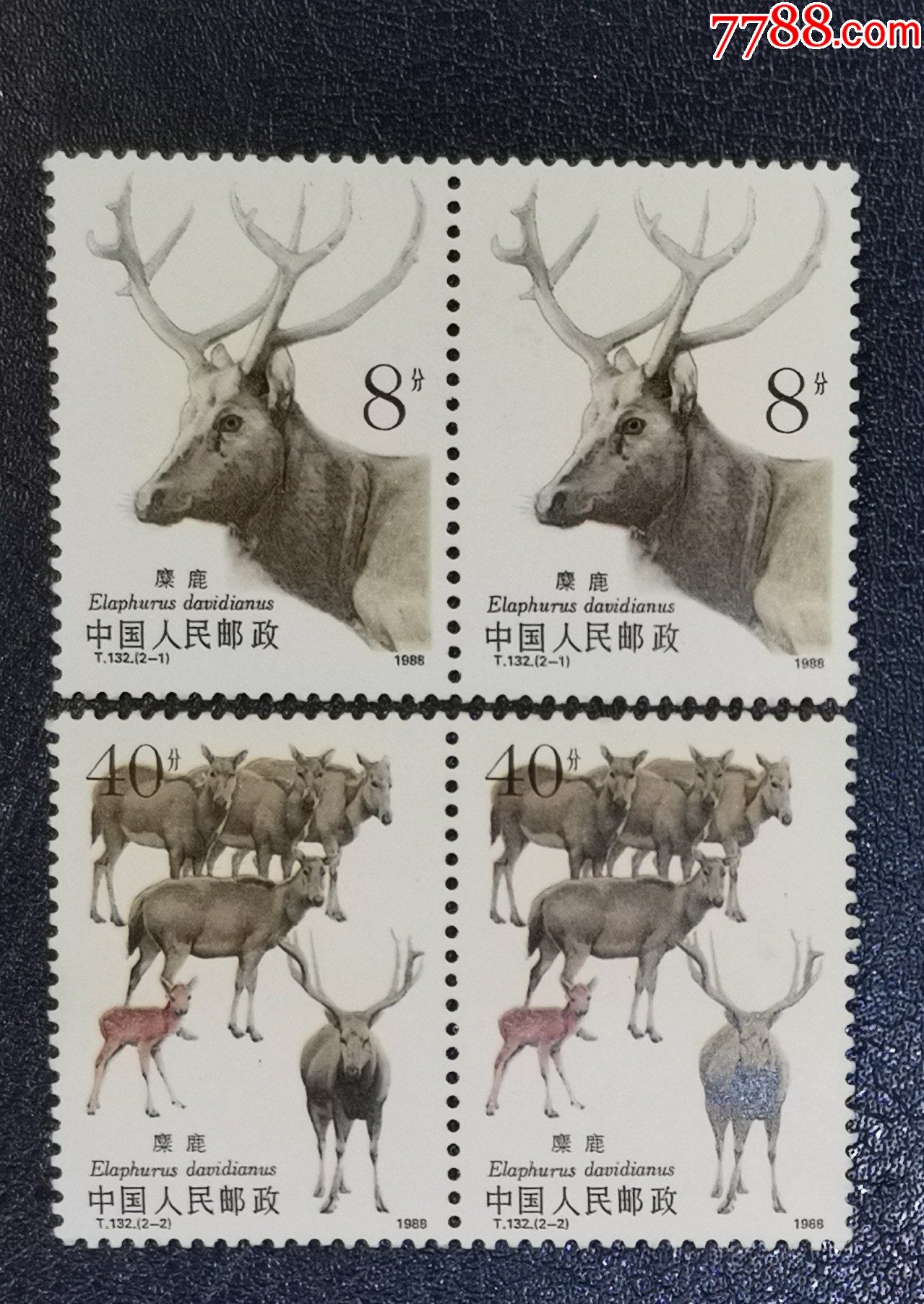 t132麋鹿,双联-价格:4元-se87795911-新中国邮票-零售-7788收藏__收藏