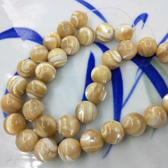 马蹄螺贝串珠一条(12mm)