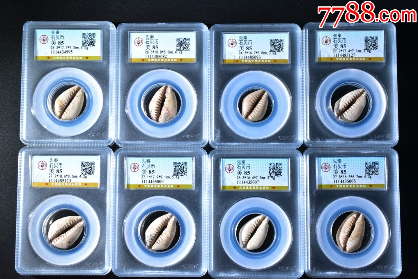 先秦石贝币又称为软玉贝公博评级85分一枚-古币-7788宣纸