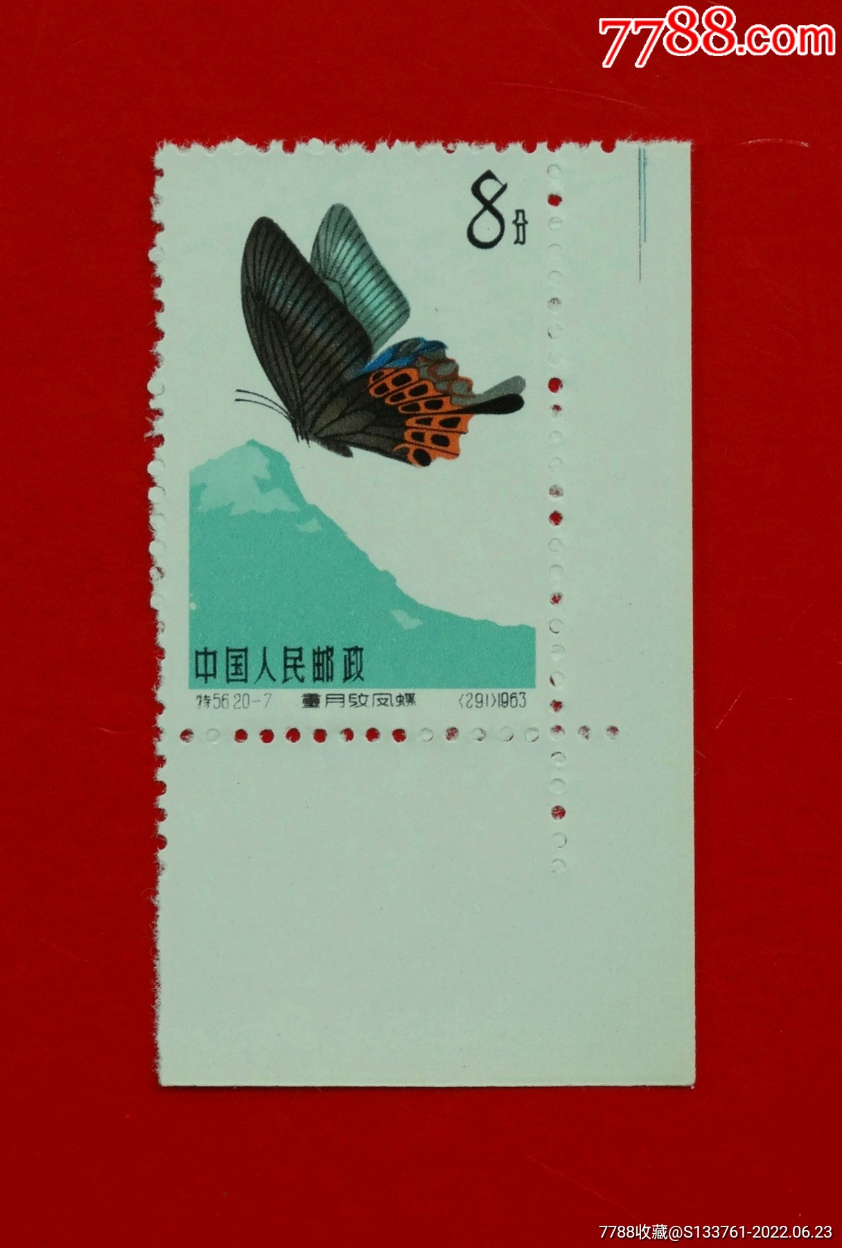 特56207蝴蝶特种邮票直角边散票