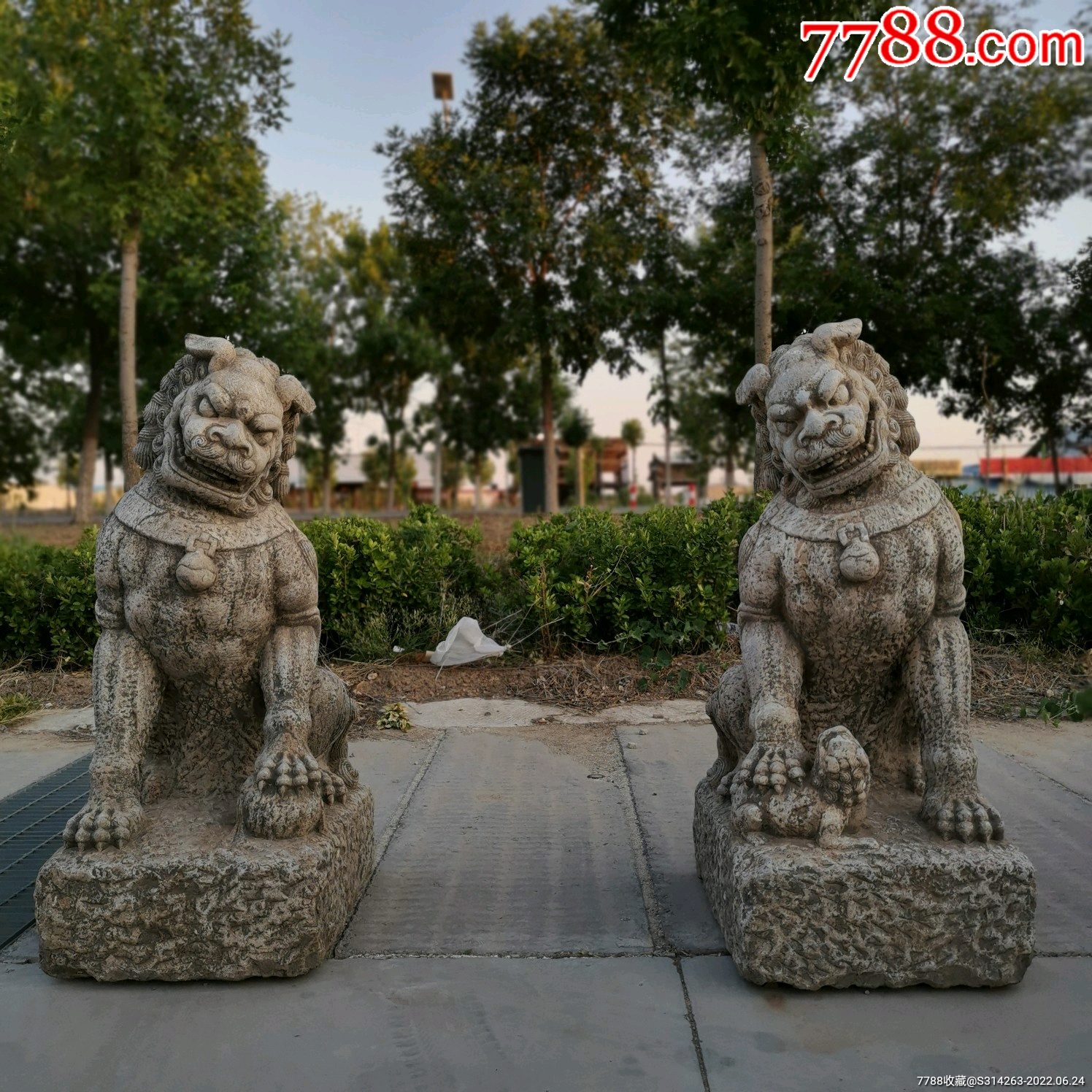 清代青石狮子一对造型漂亮高大威武雄壮高111厘米