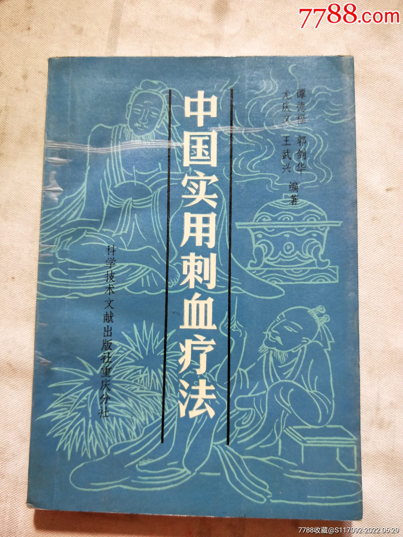 中国实用刺血疗法_价格50元_第1张_7788收藏__收藏热线
