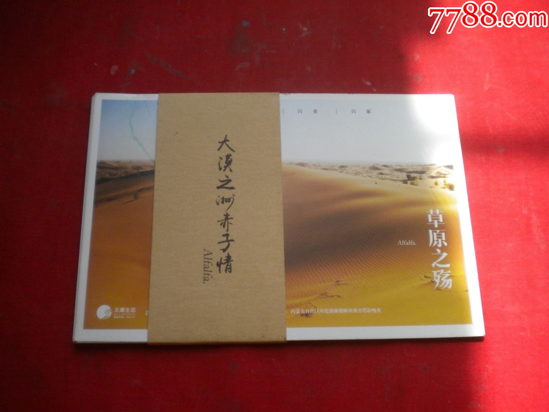 《大漠之洲赤子行明信片》一套七張，N3320號(hào)，長10厘米寬15厘米，沈陽出品9_價(jià)格5元【盛京萬泉書店】_第1張_7788收藏__收藏?zé)峋€