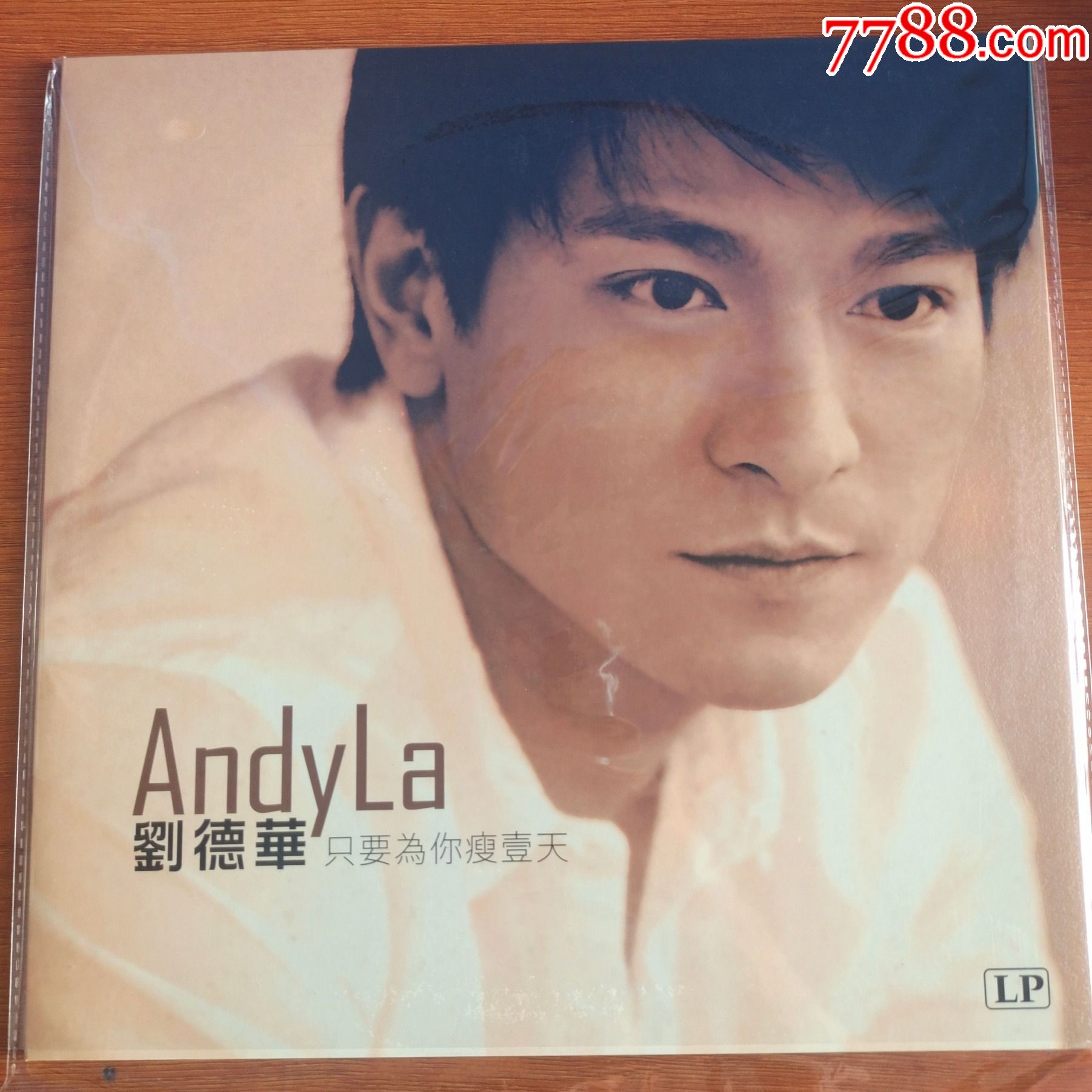 仅拆刘德华冰雨男人哭吧不是罪等歌曲12寸黑胶LP_海外唱片/胶片_碟行音像制品店【7788收藏__收藏热线】