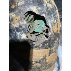 海南純折(se88112489)_文藝苑古幣