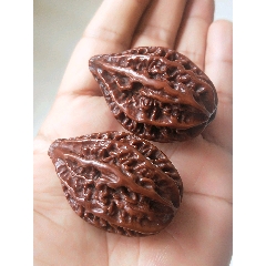 民国包浆玉化好品老秋子核桃一对