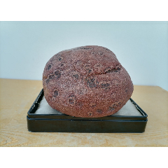 新进卫河原石3026"金钱石"(金钱串串,自然天成,石型完好)