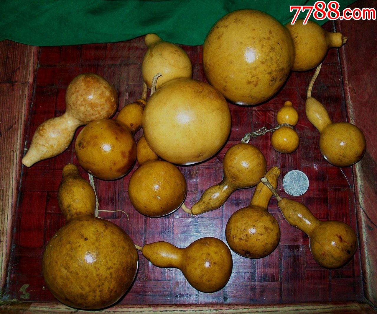 12个葫芦-价格:1元-au36030682-手捻葫芦/葫芦制品 -加价-7788收藏