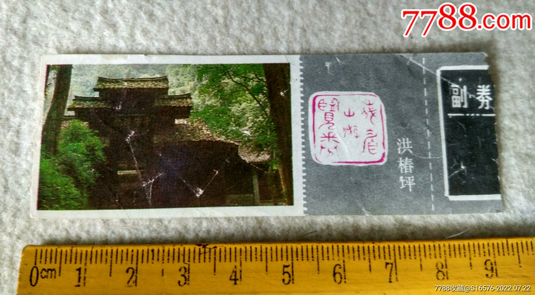 洪椿坪鳞果星蕨-中国国家植物标本馆模式标本-图片