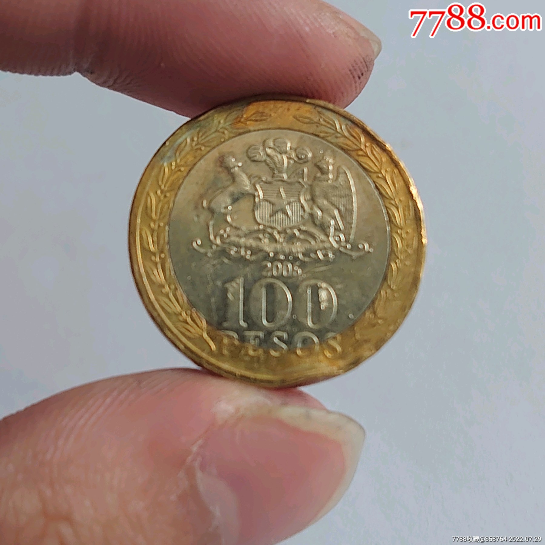 智利2010年100比索_货币外国币_江左收藏【7788收藏__收藏热线】