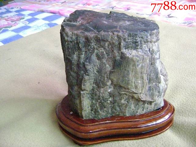 千禧年收的亿万年前的化石、树化石摆件-价格:1000元-se88817362-硅化木/木化石-零售-7788收藏__收藏热线