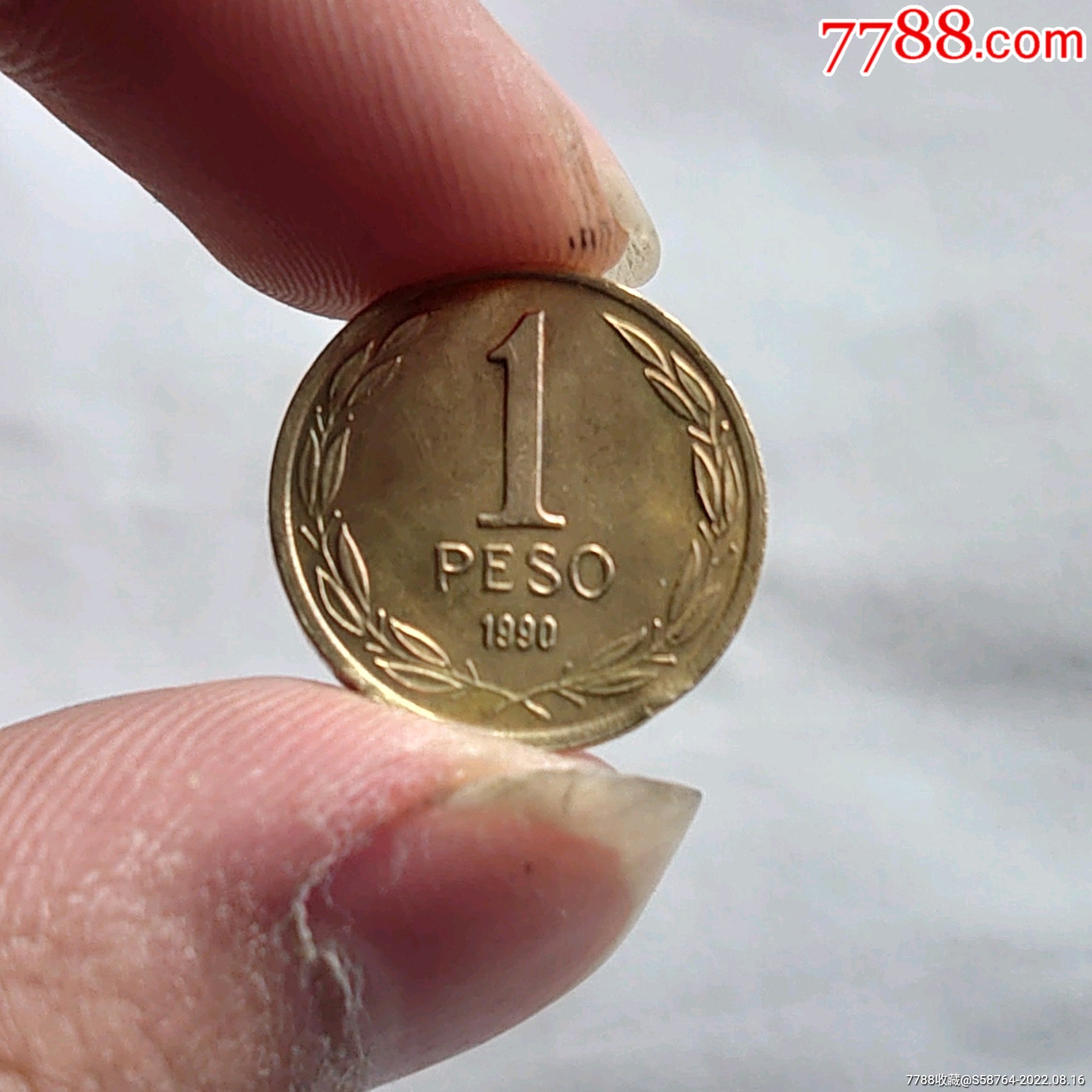 100智利比索硬币 库存图片. 图片 包括有 商业, 哥伦比亚, 现金, 市场, 工资, 特写镜头, 符号 - 91910489