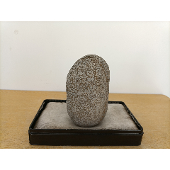 新进卫河珍珠石原石3062(晶莹圆润,自然天成,恰似"大珠小珠落玉盘")