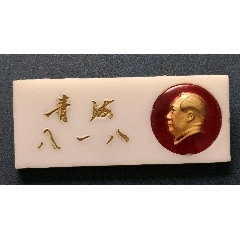 青海八一八