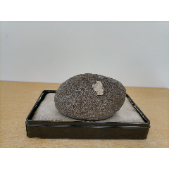 新进卫河原石3067"狗头"(图像逼真,画面纯净,自然天成)