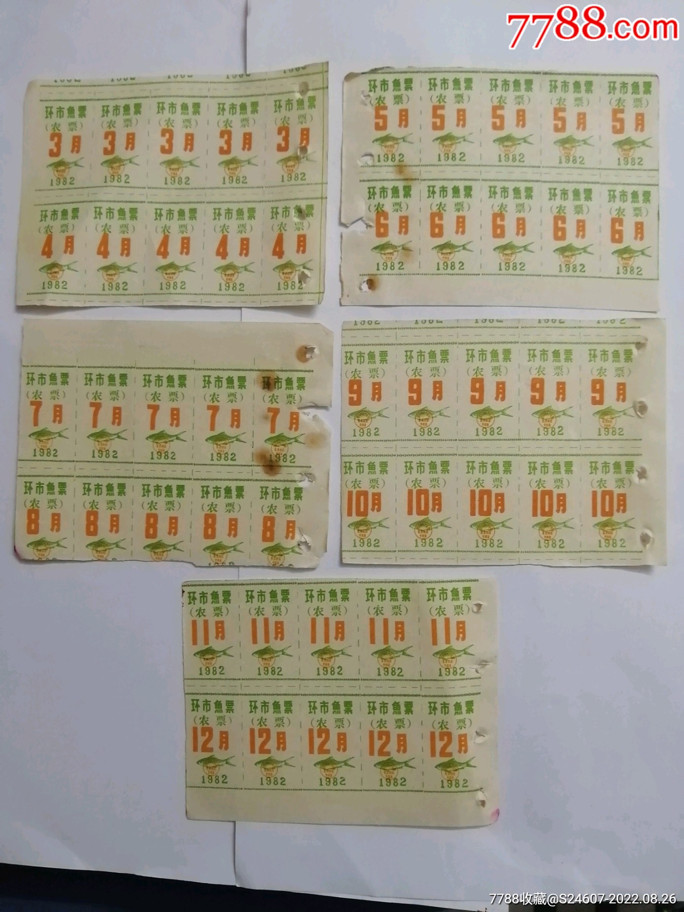 江门市环市鱼票(农票)-价格:80元-se89072919-鱼/禽/蛋供应票-零售-7788收藏__收藏热线