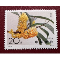 金桂郵票_曇花一現(xiàn)店