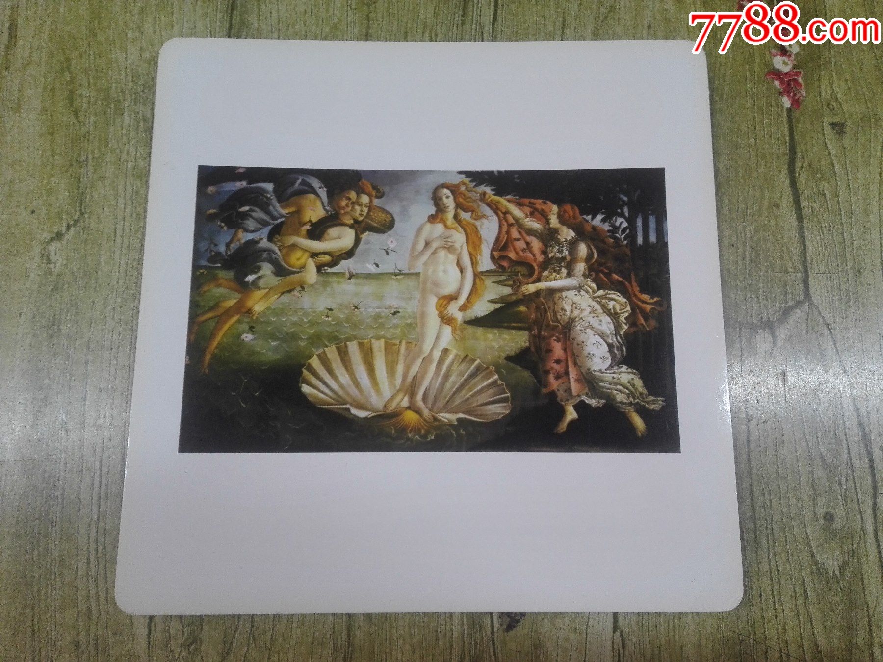 90年代压膜塑光年画，世界名画波提切利绘-维纳斯的诞生-价格:8元-se89162671-年画/宣传画-零售-7788收藏__收藏热线