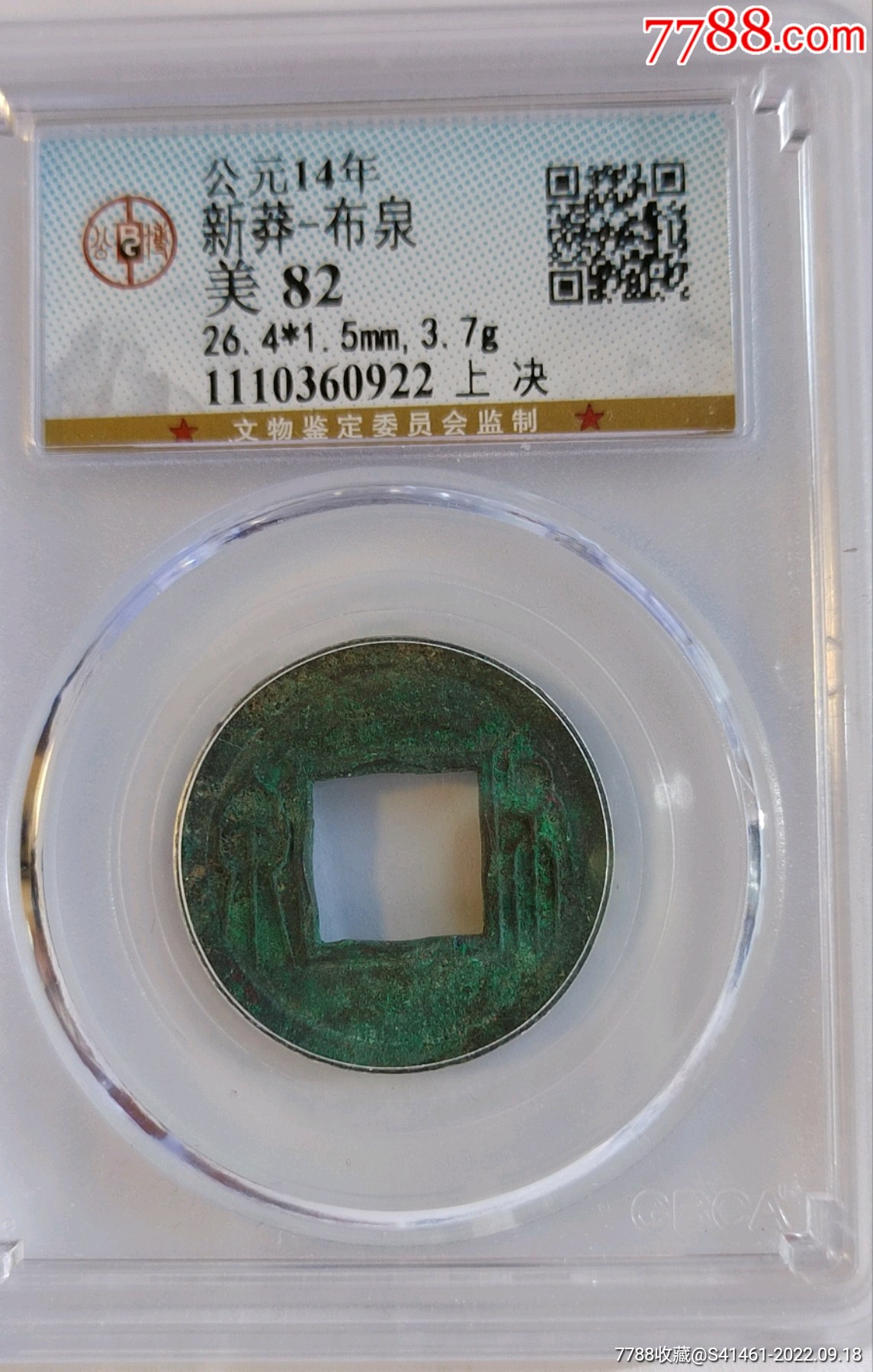 布泉-古币-7788硅化木