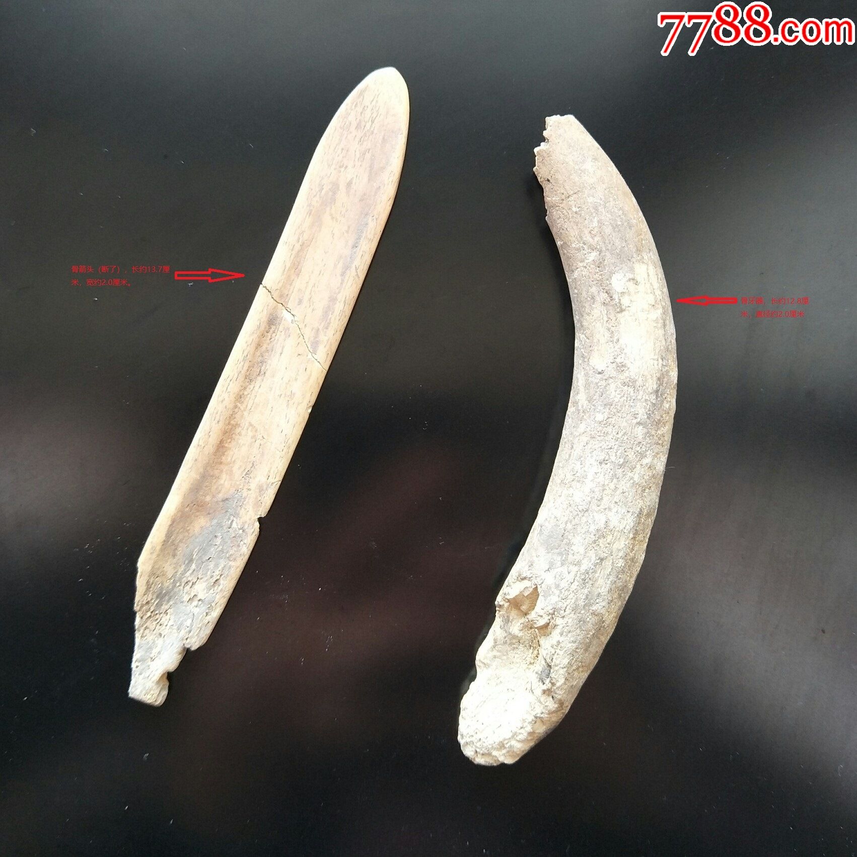 新石器时代骨箭,牙器共2件通走,包真包老_骨制饰品_清雅泉社【7788收藏__收藏热线】