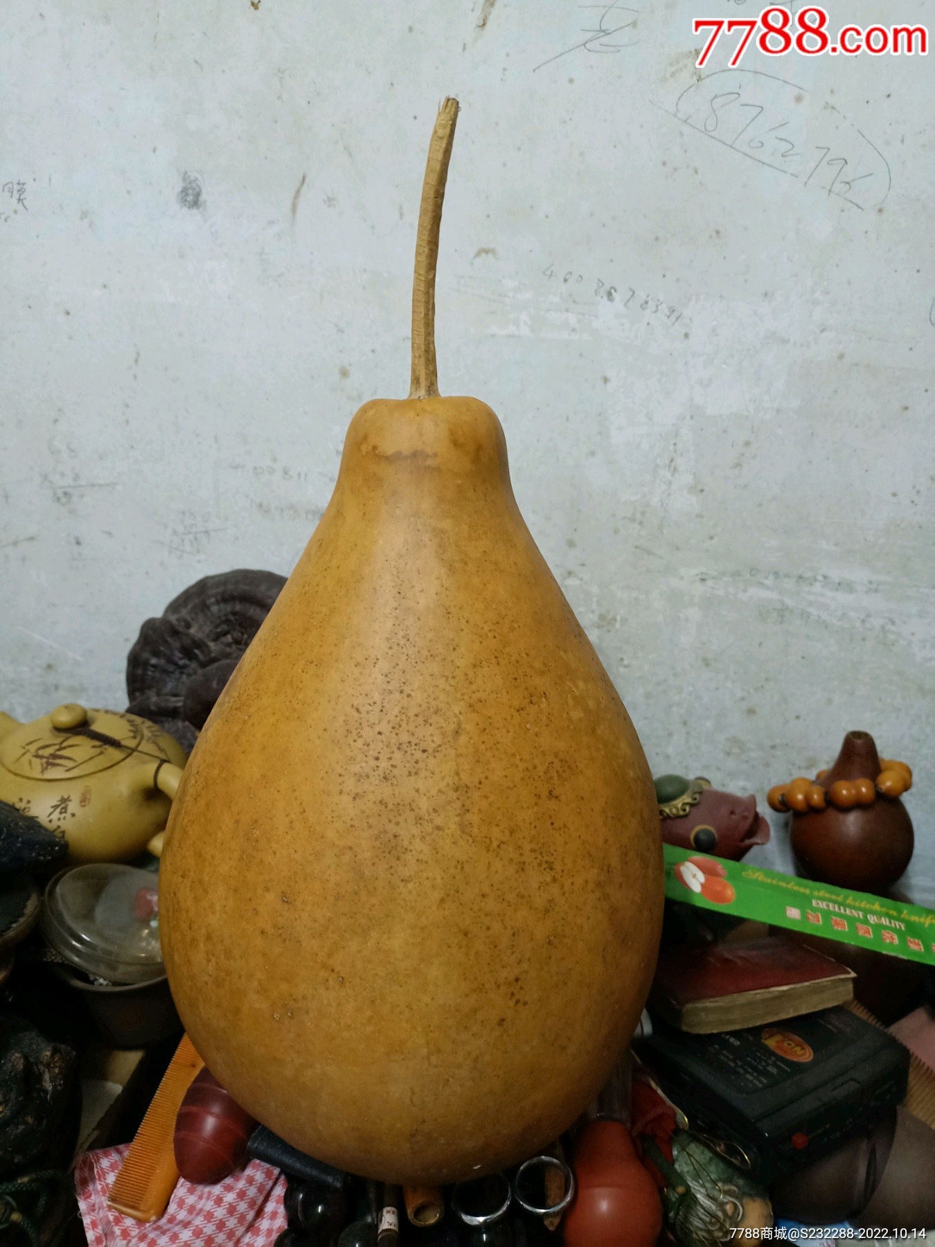 《天然葫芦，形状特殊——响籽，适合雕刻》_手捻葫芦/葫芦制品_图片欣赏_收藏价值_7788画册网