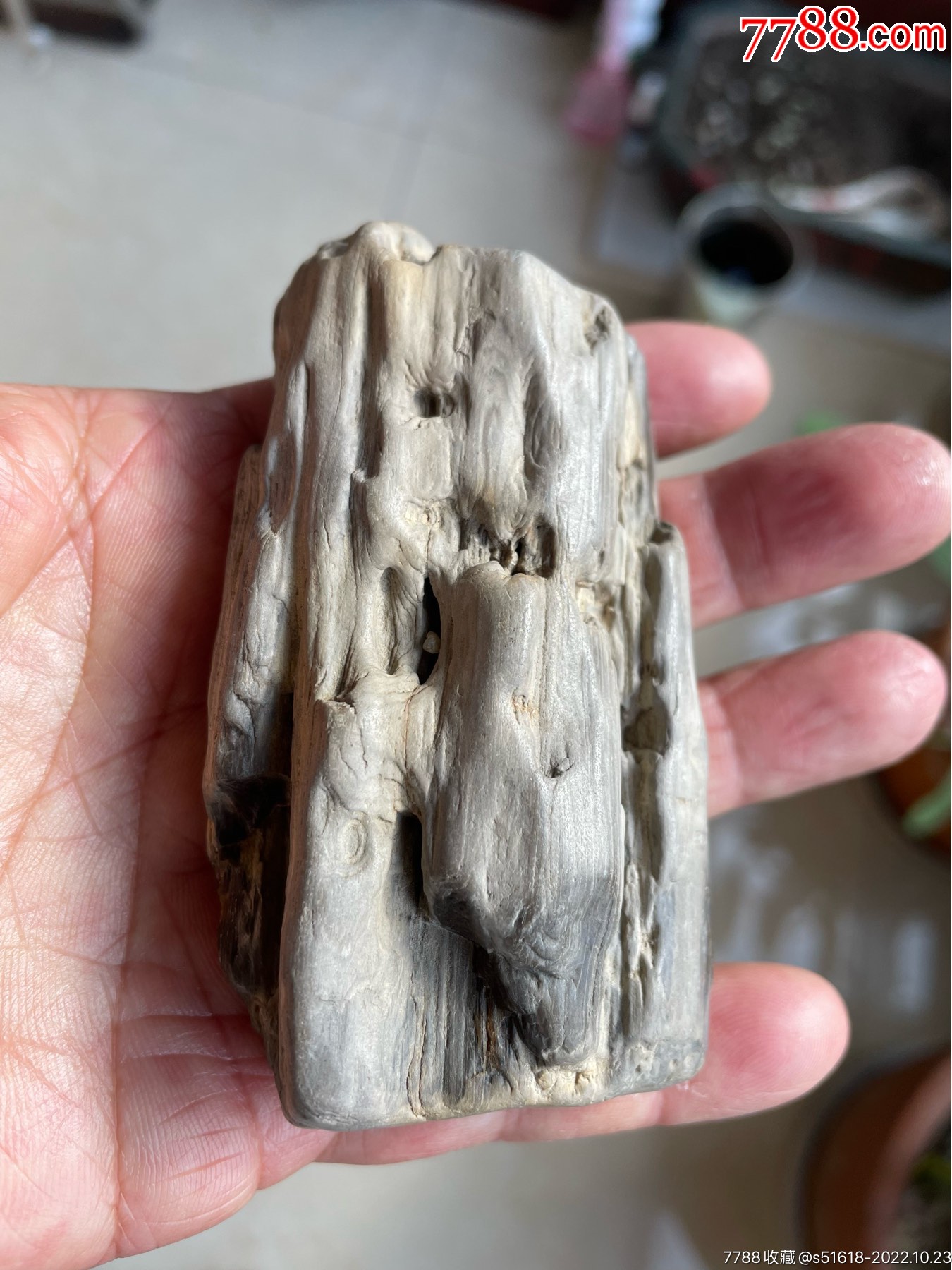 带虫眼的木化石_硅化木/木化石_绥化小古玩店【7788收藏__收藏热线】