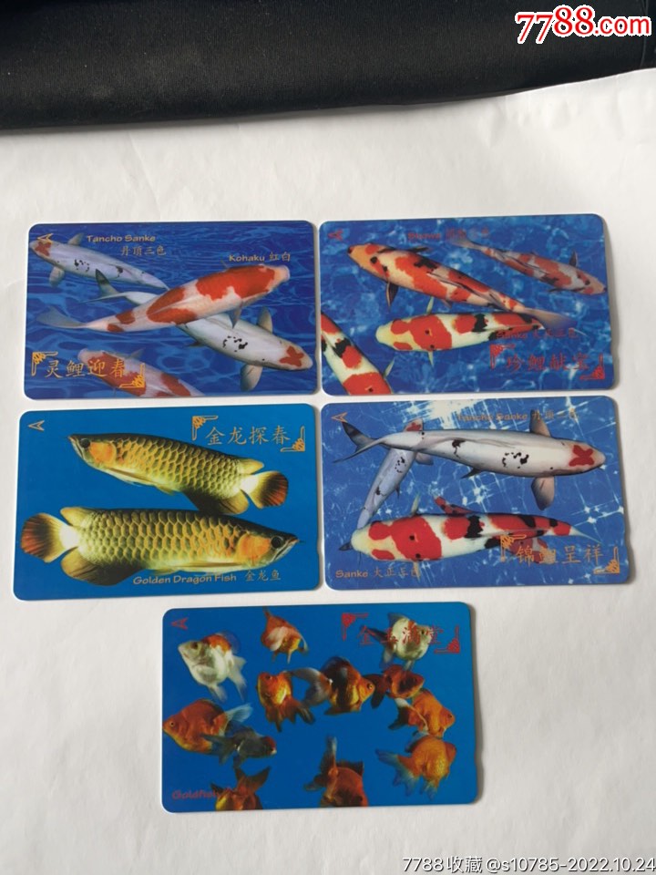 新加坡电话卡--锦鲤金龙金鱼5全-价格:30元-se90142303-早期电话磁卡-零售-7788收藏__收藏热线
