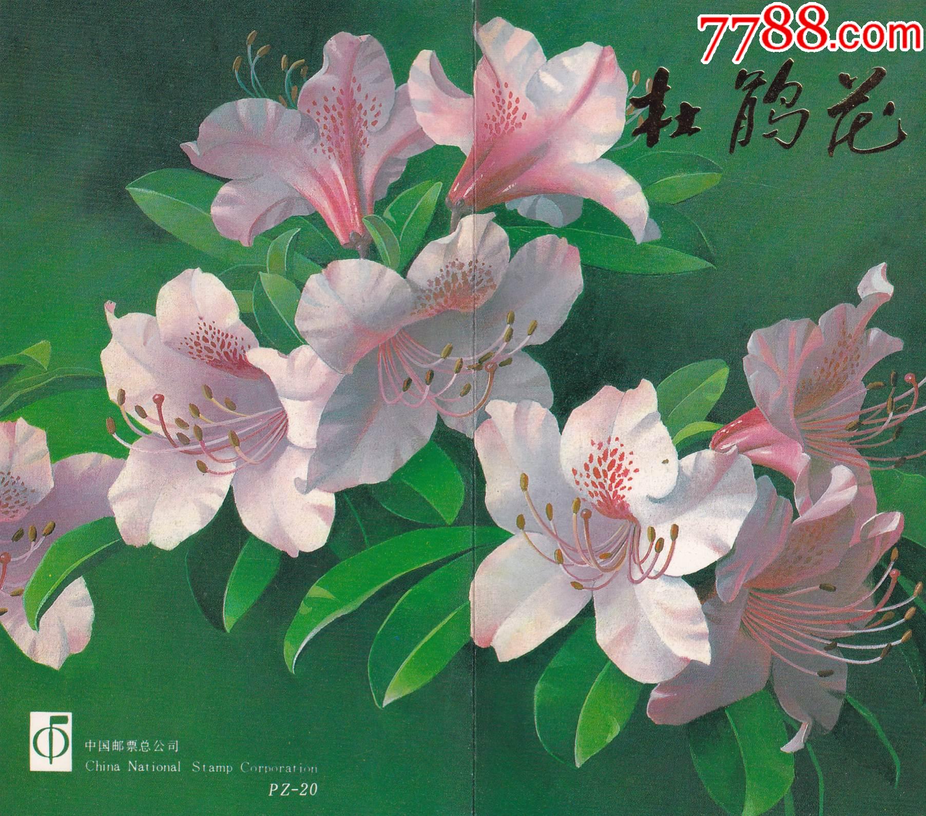 T162“杜鵑花”郵折PZ-20_價(jià)格3.75元【和豐郵韻】_第1張_7788收藏__收藏?zé)峋€
