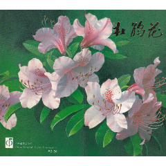 T162“杜鵑花”郵折PZ-20(se90227026)_和豐郵韻