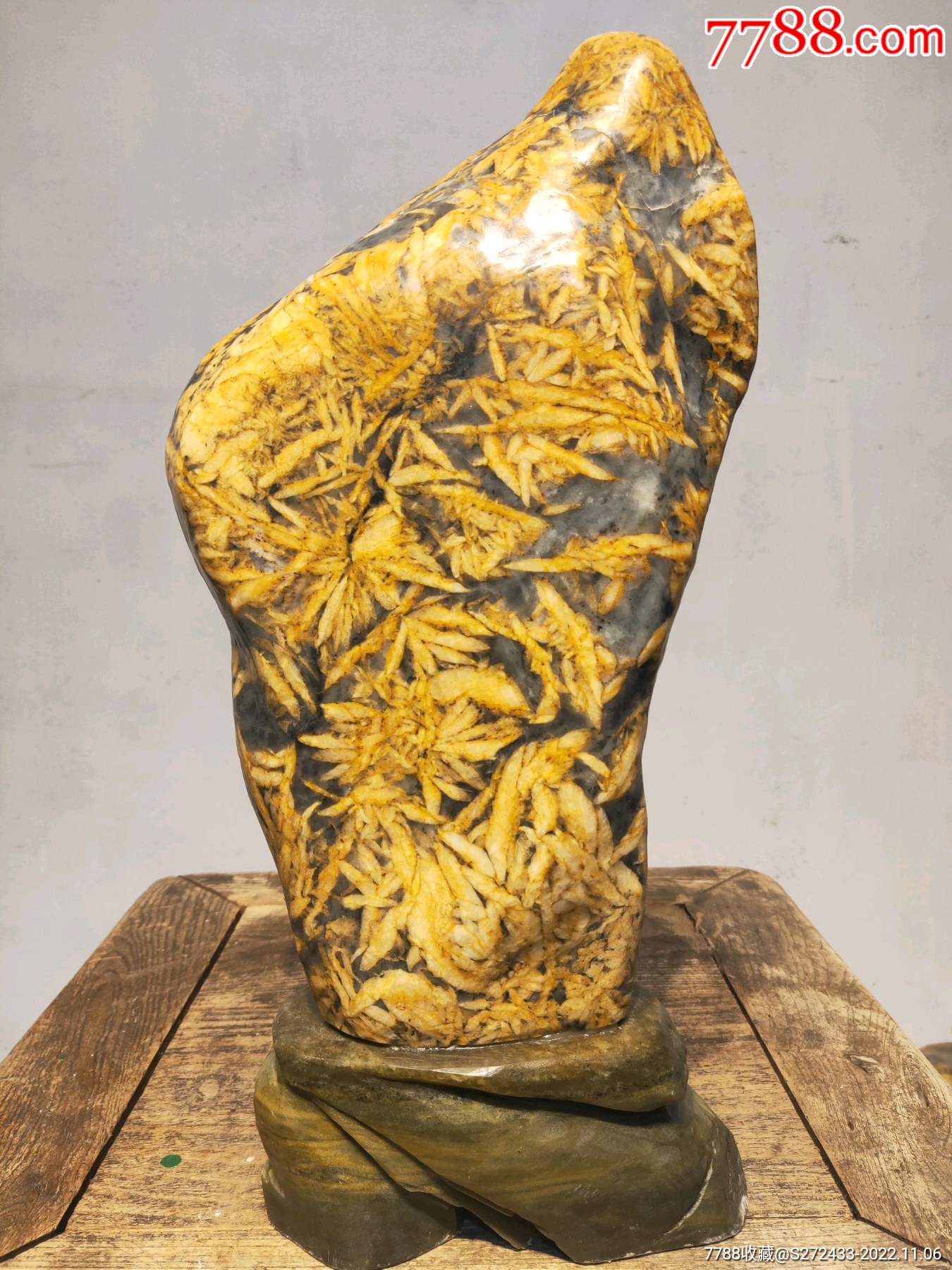 天然造型竹叶石黄金叶竹叶石,又称五花石鱼籽石,它是一种很有灵性的镇宅石,也-价格:899元-se90395622-其他收藏品-零售-7788 ...