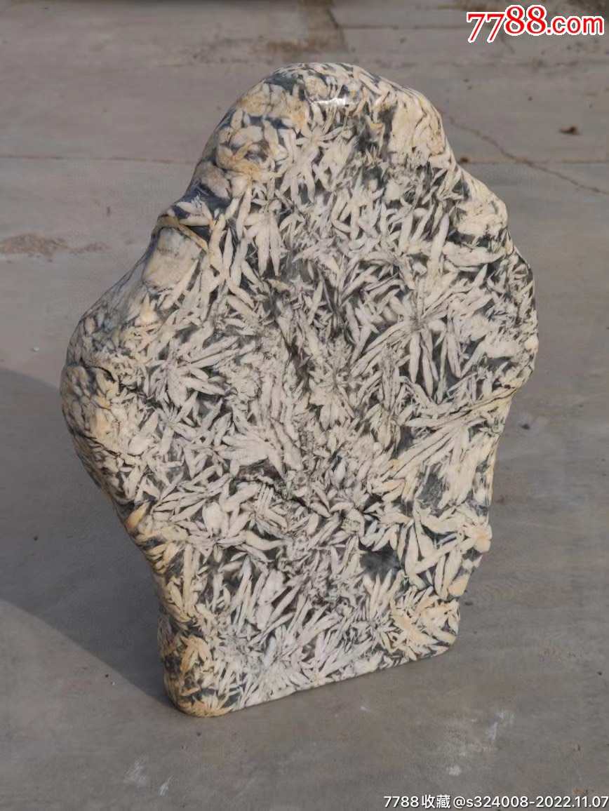 天然奇石~竹叶石,竹报平安,自然纹理。_其他奇石/岩石_第6张_7788老玩具收藏