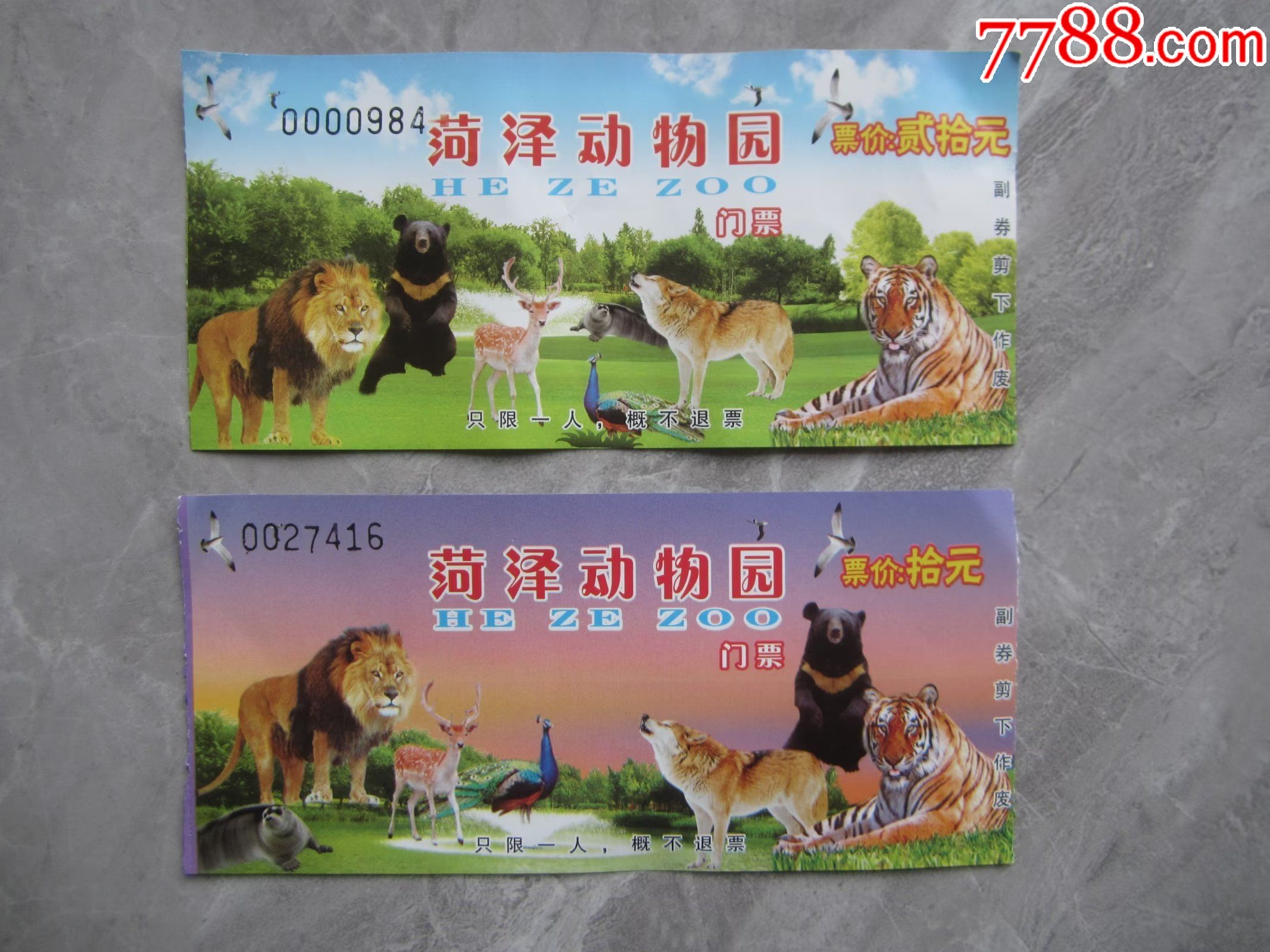 荆州动物园 门票图片