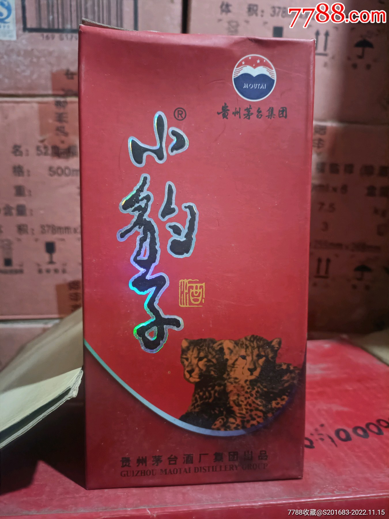 茅台小豹子