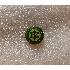 天津实验中学校徽