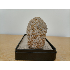  strong>新进卫河珍珠石原石3170(晶莹圆润,自然天成,恰似珍珠落玉盘)