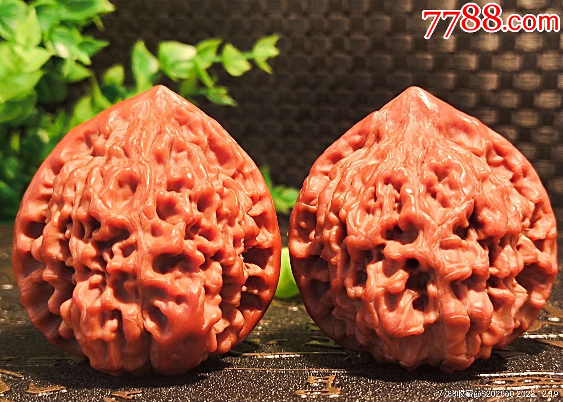 牛货包浆47麒麟纹大官帽(39012)-价格:88元-se91147445-文玩核桃-零售