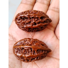 民国包浆红润玉化全品老楸子核桃一对