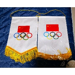 中国男子排球队旗一对不同