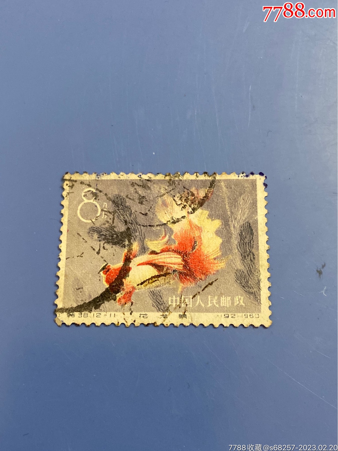 金鱼筋票_新中国邮票_图片鉴赏_收藏价值_7788青白瓷收藏