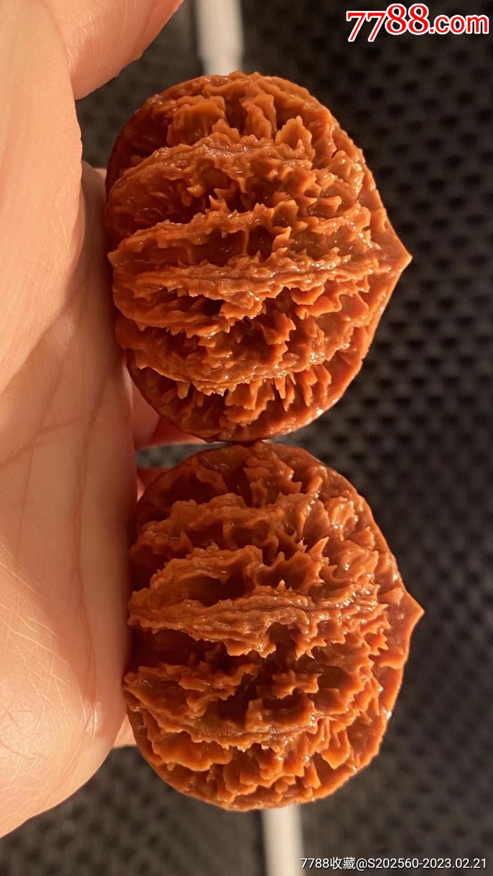 矮桩刺纹灯笼狮子头(20105)_文玩核桃_收藏行情_回收价格_7788田村卡