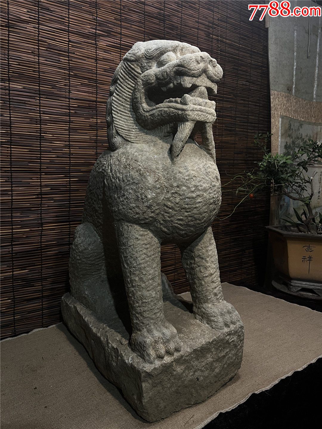 精美汉白玉老狮子-价格:8800元-se92163188-石狮/石雕塑-零售-7788收藏__收藏热线