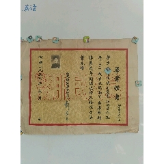 1956年山东师范学院毕业证，校长彭畏三