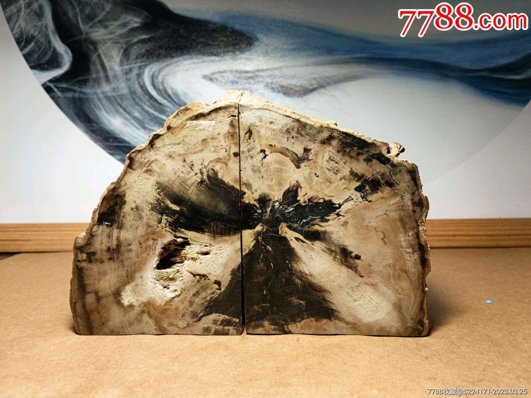 两块树化石,已经玉化_其他奇石_送你微笑【7788收藏】